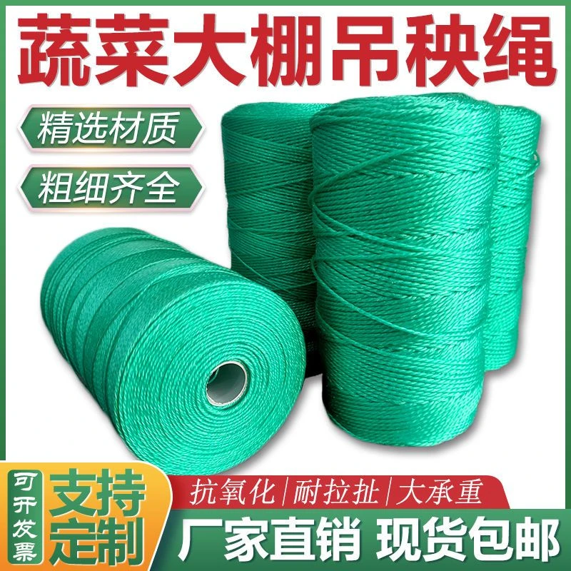 大棚吊秧绳果蔬爬藤尼龙吊蔓绳现货植物牵引捆绑新料轴夹吊秧绳