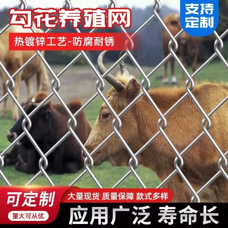 热镀锌钢丝铁网网格狗加粗加厚铁丝网圈地养殖牛羊果园防锈围栏网