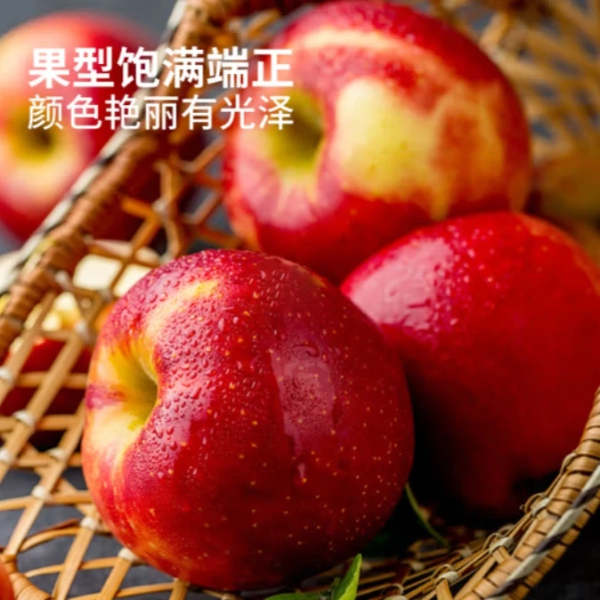 新西兰亲语苹果新鲜进口水果生鲜果脆甜应季大果孕妇儿童水果礼盒 保温箱（防碰）3斤（顺丰送货到家）