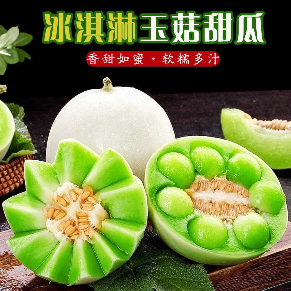 超甜山东玉菇甜瓜甄选头茬新鲜水果应季现摘软糯香甜蜜瓜自然熟N