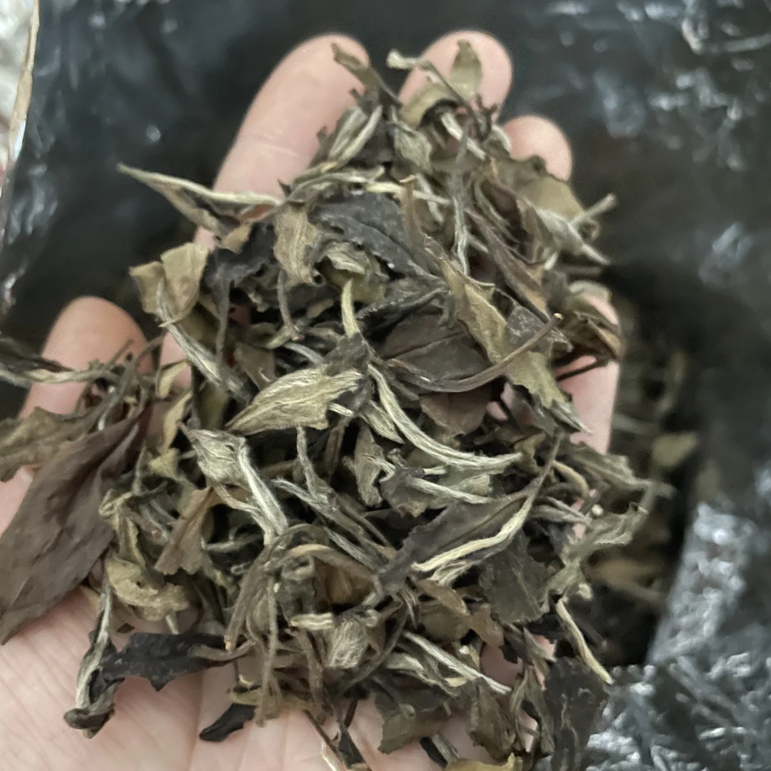 老茶推荐，2014年霜降茶寿眉100克