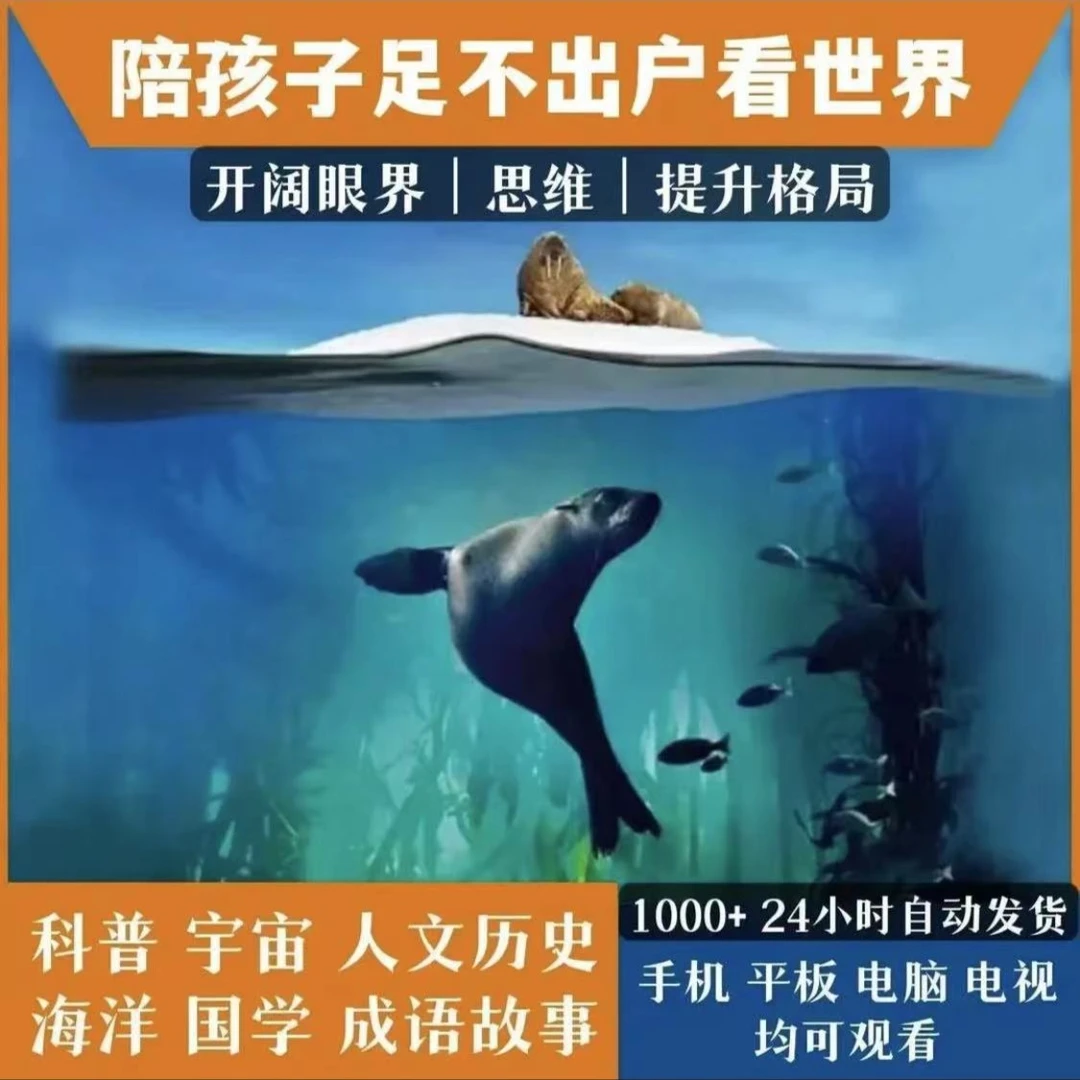 精选1000+高分科普纪录片大语文小四门国学启蒙动画合集