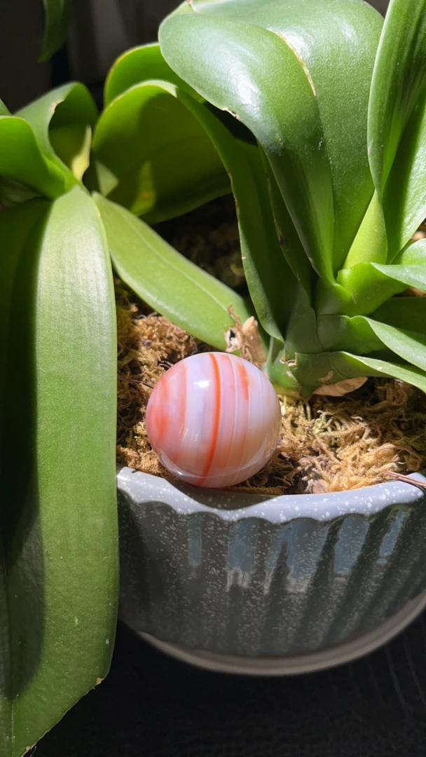 33mm+缠丝南红玛瑙