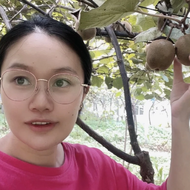 【二姐助农】四川宜宾高山黄心猕猴桃新鲜奇异果