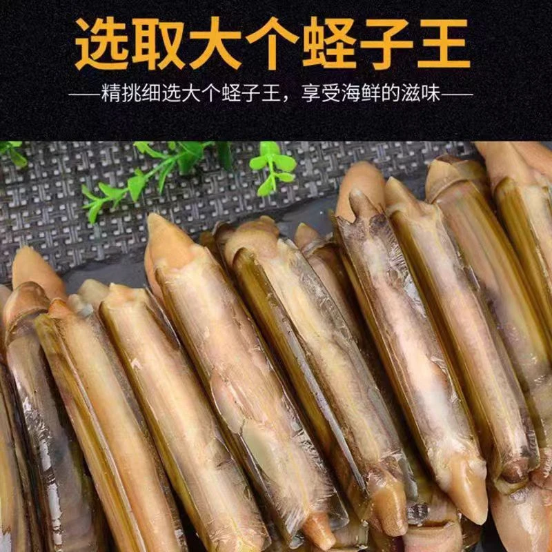 竹节蛏子1斤