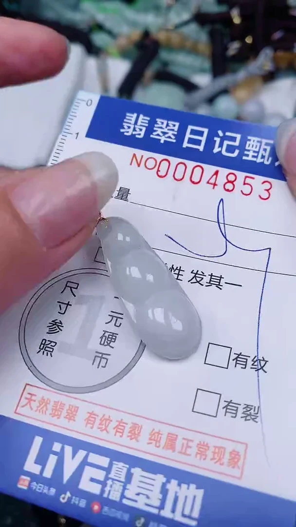 【闪购商品】翡翠颈饰未镶嵌00004853