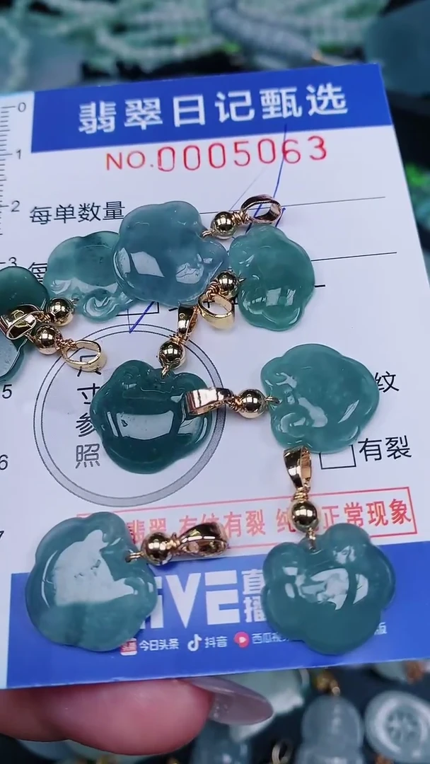 【闪购商品】翡翠颈饰未镶嵌00005063多样性发其一