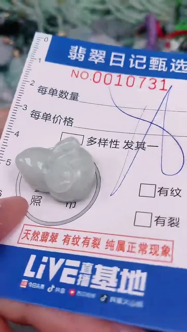 【闪购商品】翡翠颈饰未镶嵌000010731