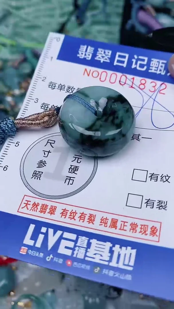 【闪购商品】翡翠颈饰未镶嵌00001832