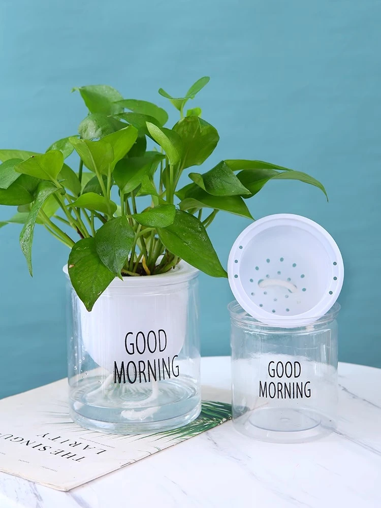 塑料水培透明懒人自动吸水早安盆绿萝北欧简约吊兰绿植多肉花盆