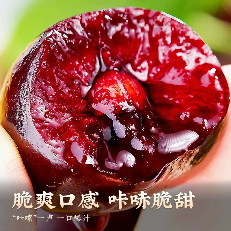 【顺丰空运】智利进口空运车厘子桑提娜1/2/3斤装脆甜多汁坏果包赔