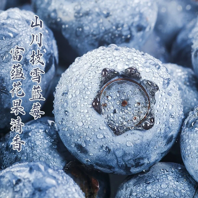 【大果18-22mm+】当季限定进口秘鲁蓝莓多汁花香浓郁【顺丰包邮】