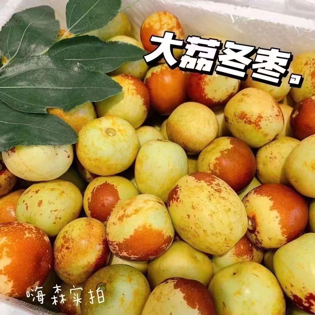 陕西脆冬枣（脆脆的超甜！）500g