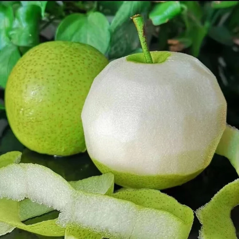 湖北翠玉梨新鲜翠冠梨苏翠一号梨子酥脆青皮梨子 5斤襄阳现摘水果