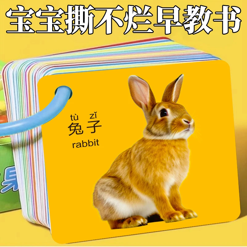 儿童早教识字卡片启蒙幼儿幼小衔接儿童大号加厚体验卡婴幼认知卡