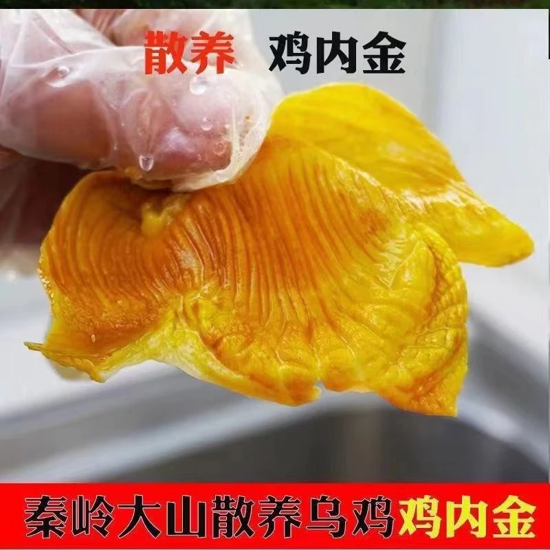 鸡内金农家散养干鸡内金优选天然生鸡内金熟鸡内金自然晒干原味道