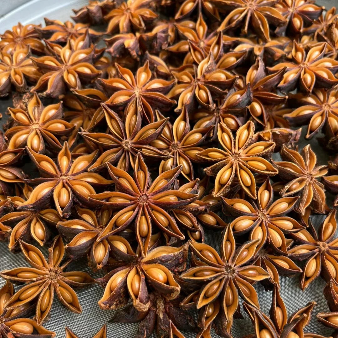 云南50年老树自己家种的八角香料 自产自销 干度98％