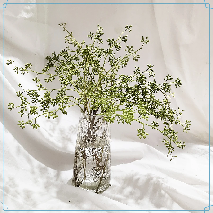 小米果叶清香木鲜花云南水养清新插花客厅装饰鲜切花可风干