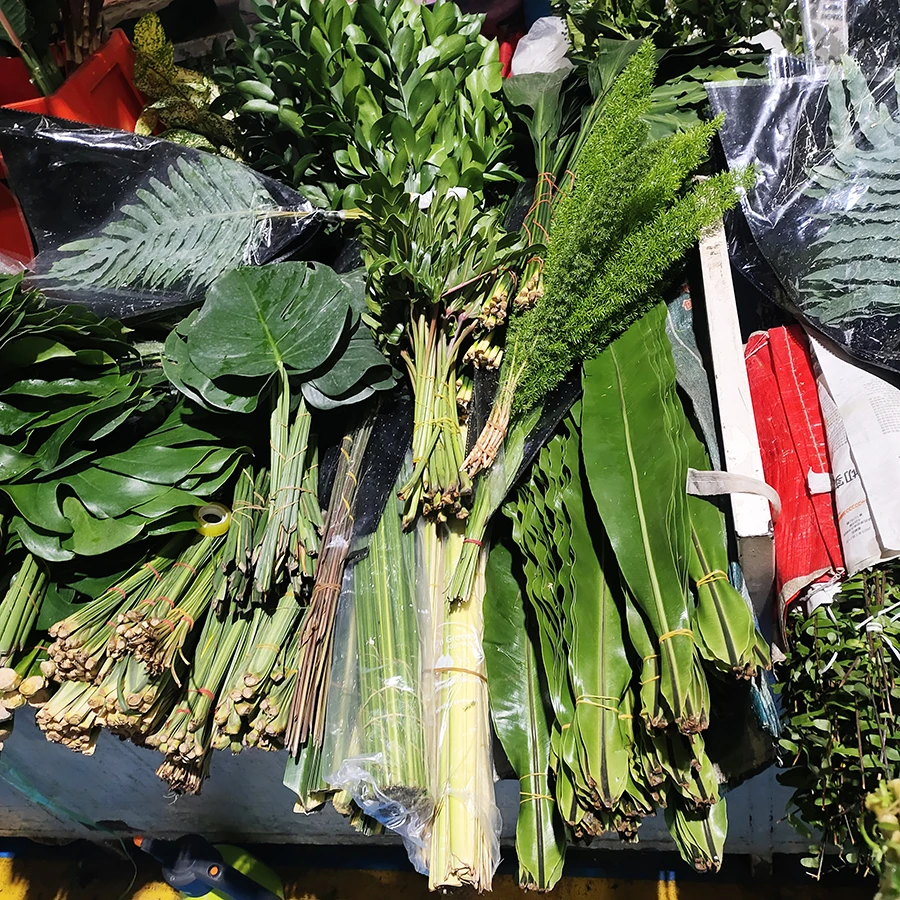 花束新鲜配叶鲜切花水养枝条婚车装饰背景插花散尾叶龟背叶蓬莱松