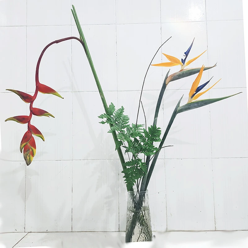 天堂鸟 鲜切花花材