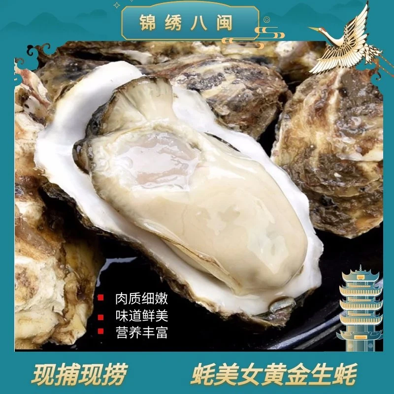 蚝美女深海放养鲜嫩味美鲜活3-4XL生蚝5斤装生鲜保鲜直达包赔