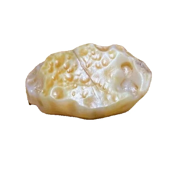 阿拉善戈壁奇石摆件 白瓷 个性戈壁奇石盆景石 抽象 戈壁五彩石