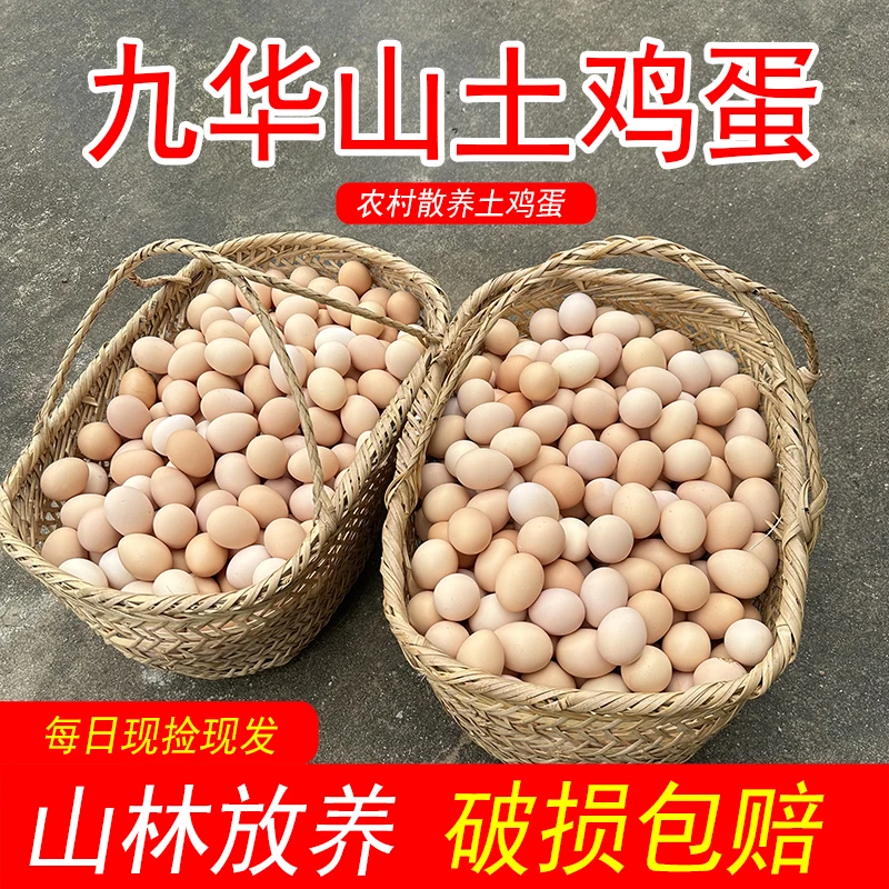 【40枚】安徽九华山土鸡蛋 真宗散养土鸡蛋