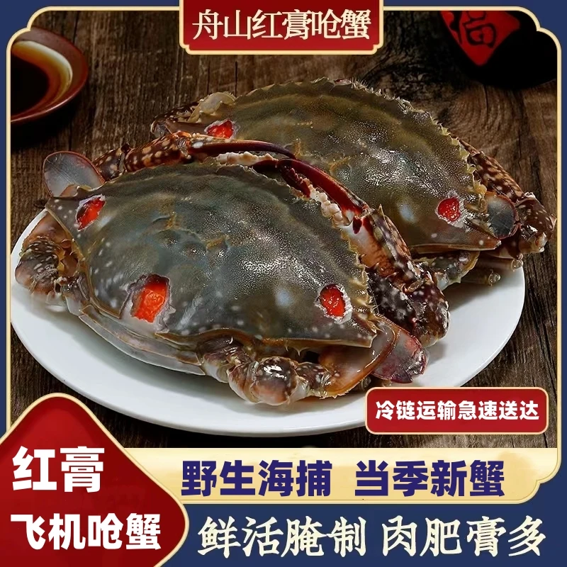 【顺丰冷链全国包邮】4-6两舟山红膏飞机蟹 直播间关注买3送1