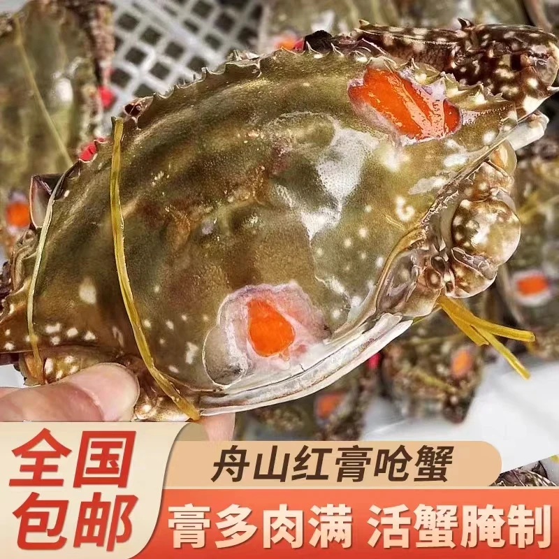 【顺丰冷链】4-6两舟山红膏呛蟹 野生 母蟹 梭子蟹 咸呛蟹 宁波特产