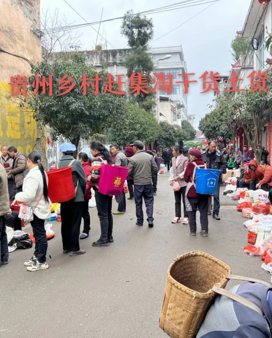 【临时链接】贵州高山农家种植蔬菜1斤/5斤装（现货现发）