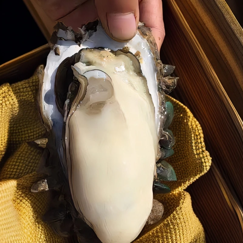 台山生蚝   净蚝肉  海鲜美食 顺丰冷链速递