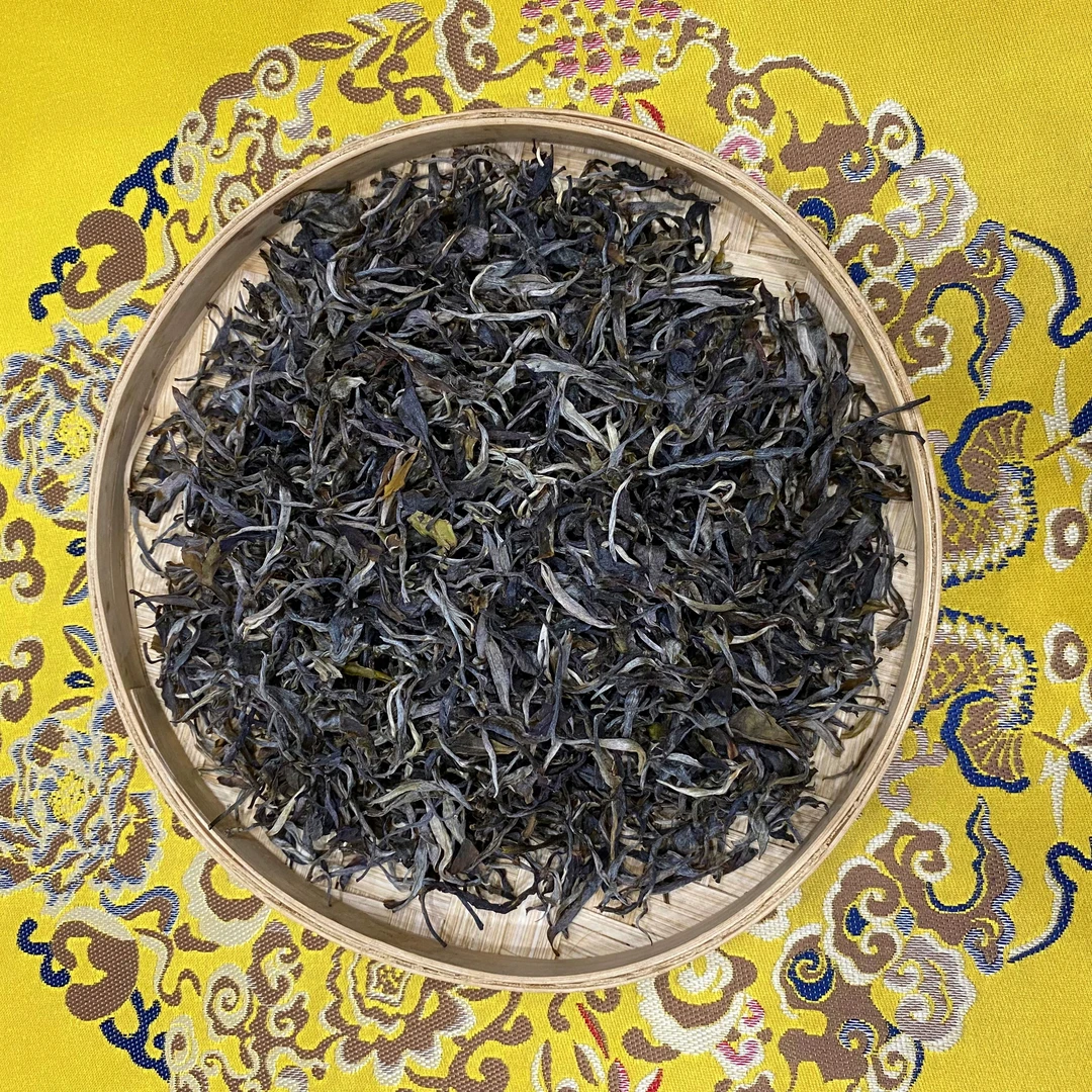 2023年头春曼松小树普洱生茶云南普洱茶