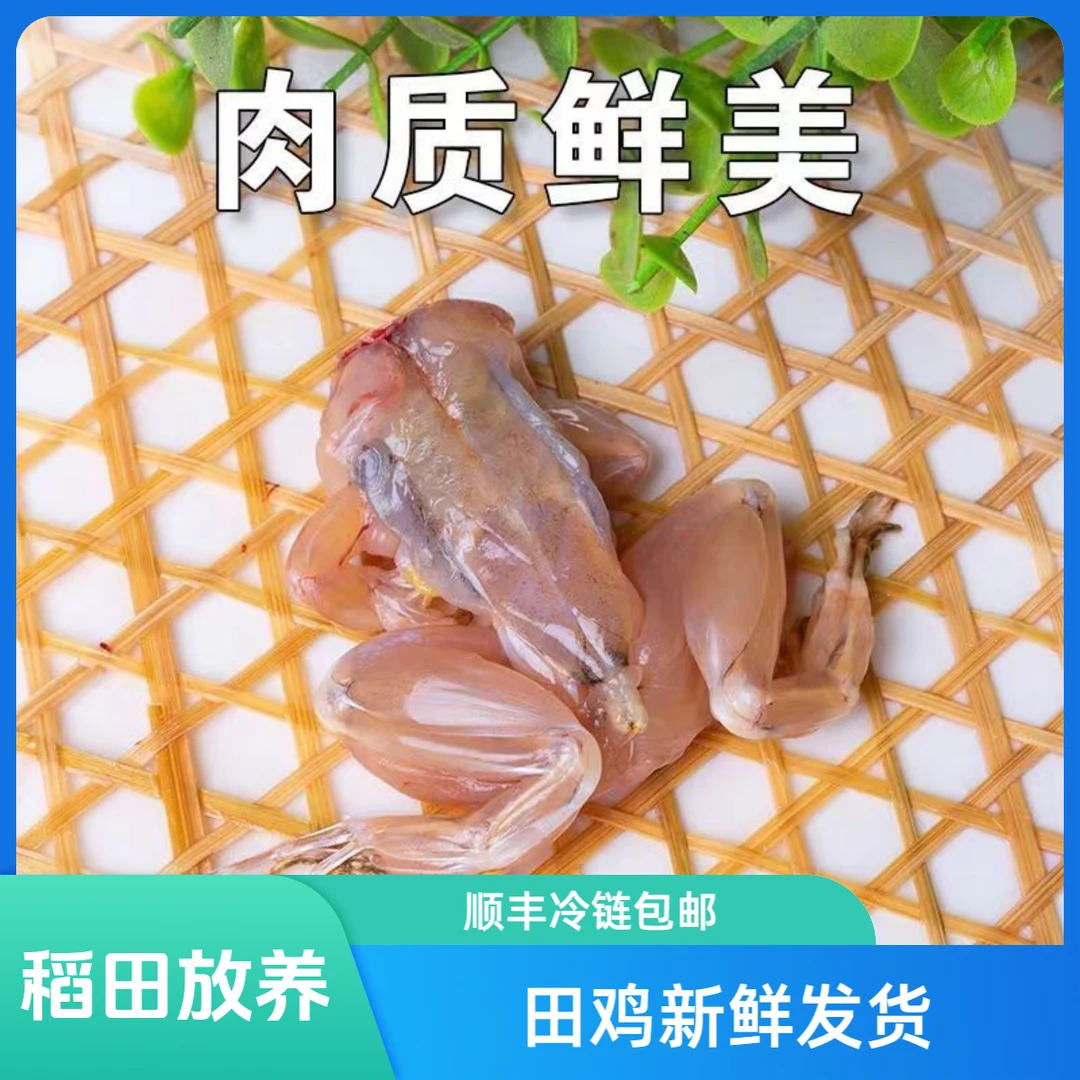 《6斤3斤田鸡》净膛去皮去头放养田鸡稻田蛙青蛙顺丰空运包邮新鲜