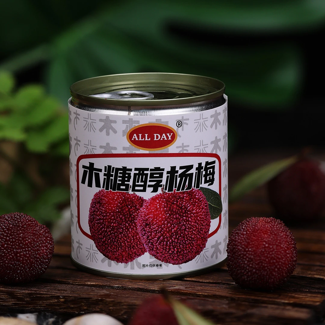 ALL DAY木糖醇杨梅罐头新鲜应季大果杨梅汁爆汁餐后水果4罐即食