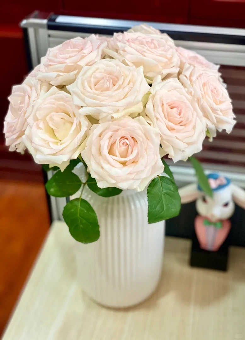 【花语轩优选】小白兔 云南鲜花基地直发 日常养护插花摆放