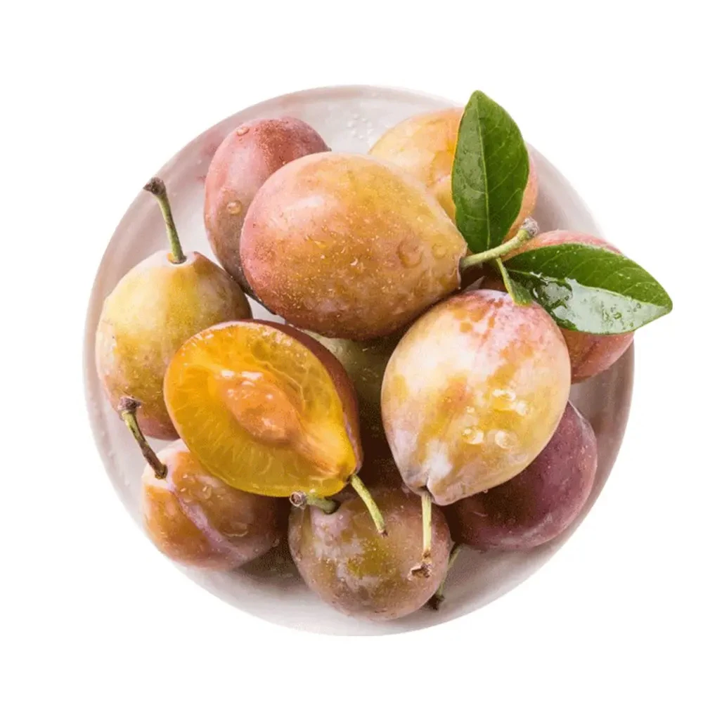 新疆脆甜西梅嘎嘎好吃