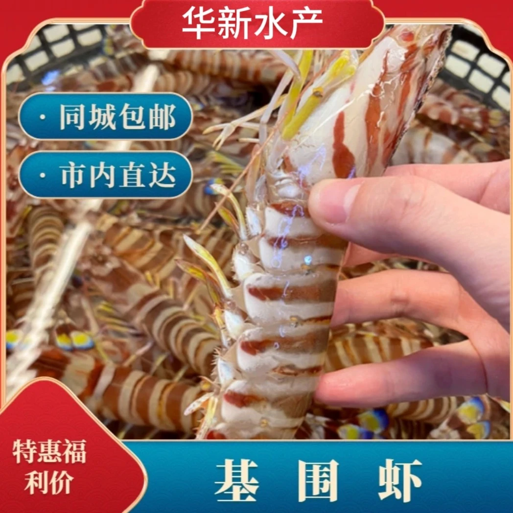 【同城配送】【华新水产】精品特大基围虾 （肉质紧实 肉质鲜甜）