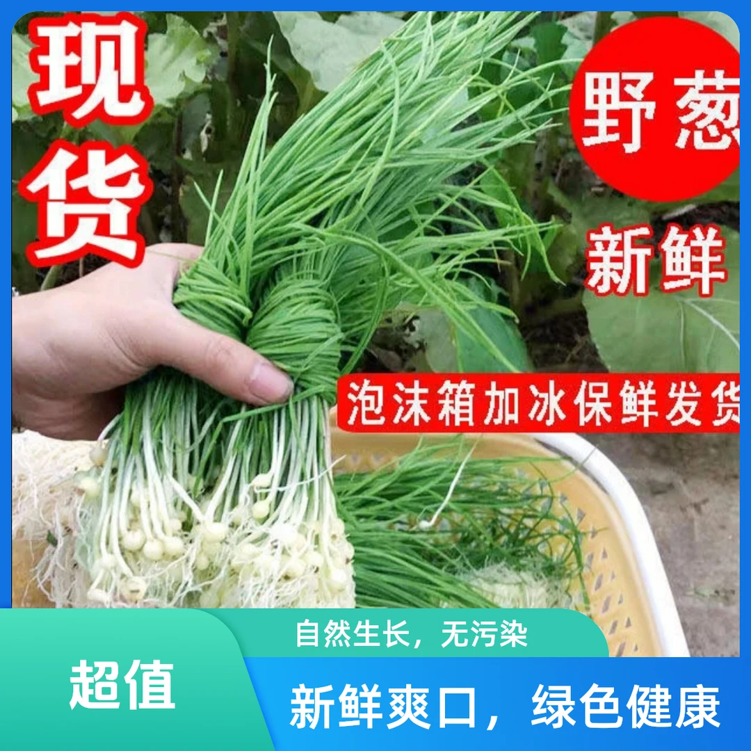 贵州特产贵州野生小山葱野生小苦蒜新鲜现挖现发