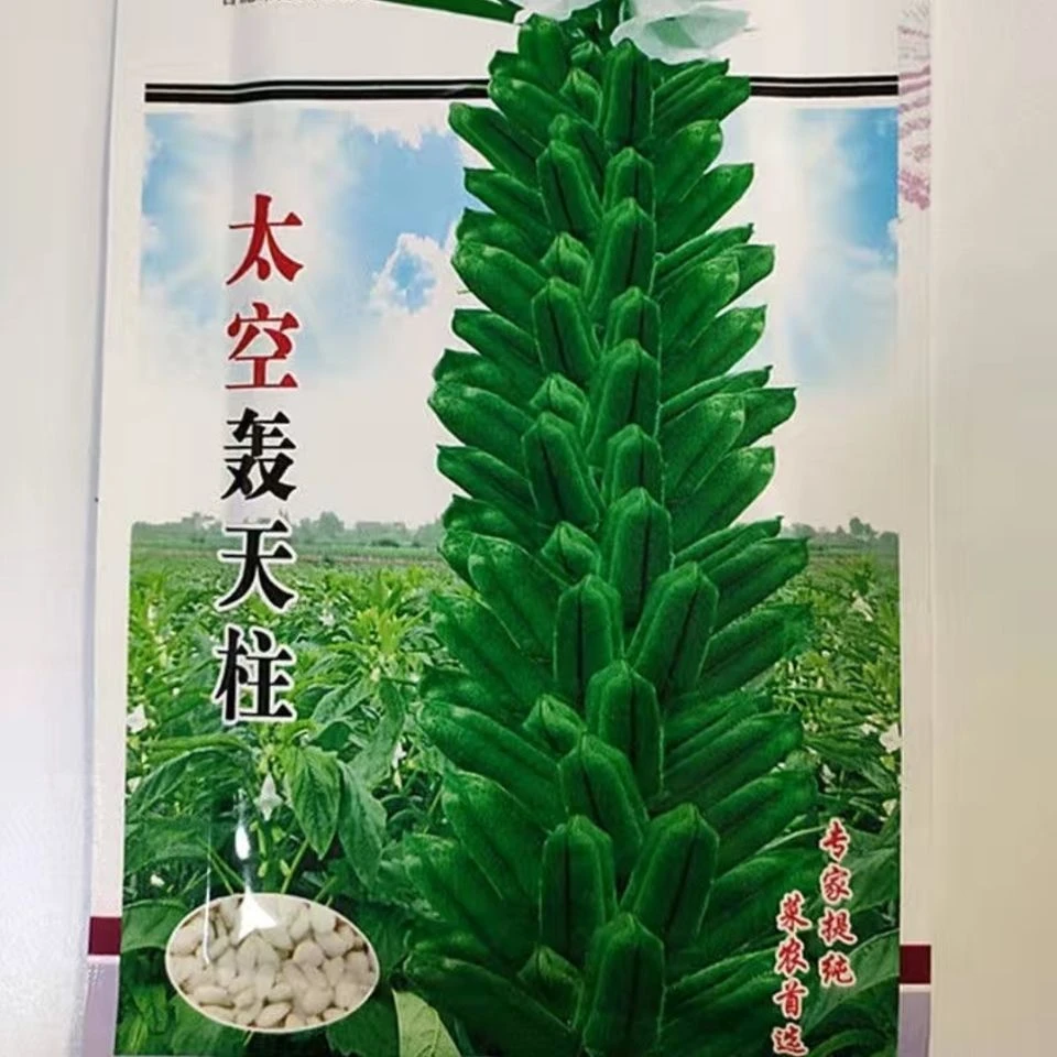 芝麻种子抗病抗倒耐旱耐渍芝麻种子产量高耐重茬含油高的芝麻种子