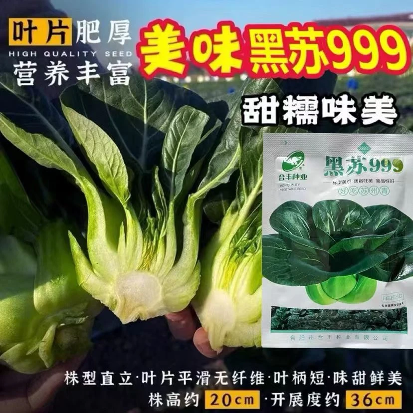 耐寒青梗菜种子黑叶苏州青矮脚油菜青菜菜籽上海青四季蔬菜种子