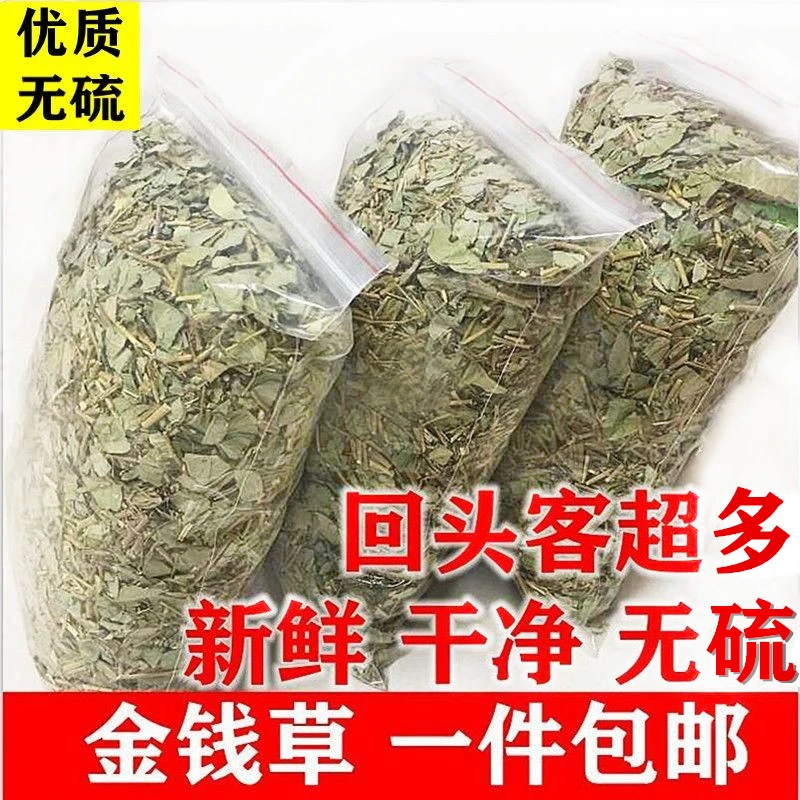 广西金钱草正品食用金钱草精选金钱草新鲜金钱草干货煲汤泡水