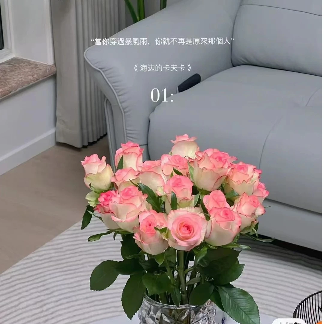 【艾莎玫瑰】云南鲜花基地批发直播