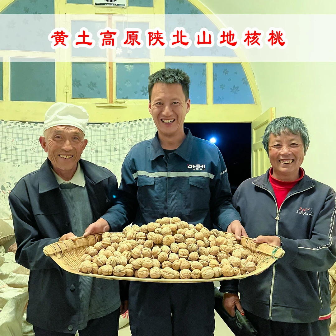 陕北农家山地核桃包邮（送核桃夹子）