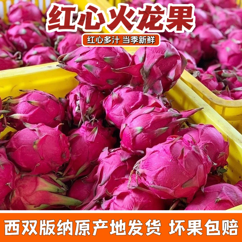 B【带箱5斤】D版纳农家金都一号云南火龙果红心多汁鲜果单果300g+