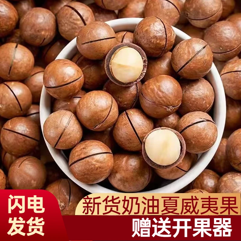 新货大颗粒夏威夷果奶油味袋装坚果新货批发250-500g休闲零食干果