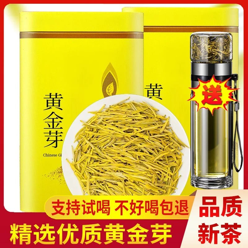 送水杯 黄金芽2025新茶叶自己喝明前雨前特级浓香型春茶嫩芽绿茶