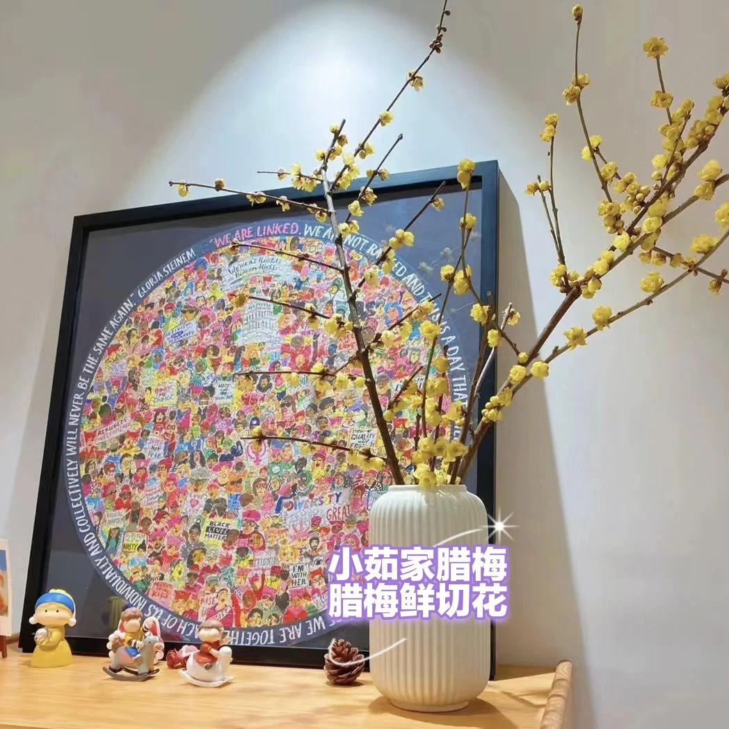 腊梅鲜切花长新鲜采摘冬天开花花香四溢