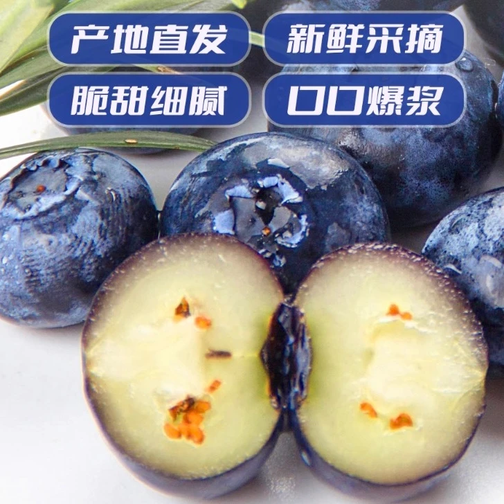 【现摘现发】8盒20+丹东蓝莓新鲜采摘现摘现发爽口多汁爽脆可口精选