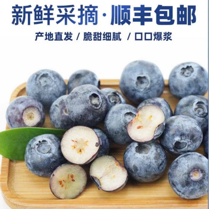 甄选蓝莓新鲜采摘爽口多汁爽脆可口正宗精选