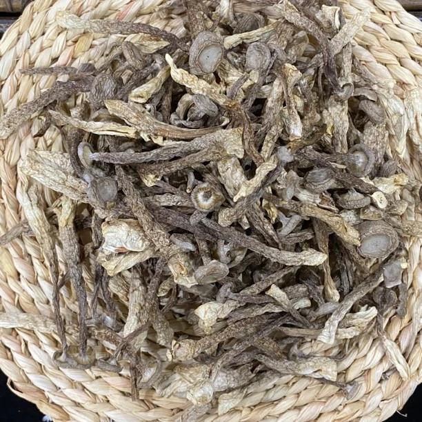 食尖上 | 广东 鹿茸菇脆脆菇干货羊肚菌农家煲汤干蘑菇1-250克